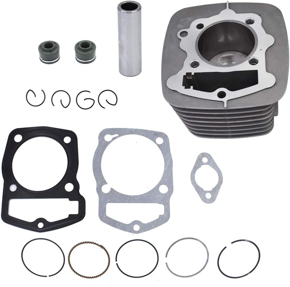 61jFcnKue3L._AC_SL1000_.jpg labwork Cylinder Kit Piston 65.5mm Rings Gaskets 223CM3 Replacement for Honda 250CC ATC200 ARC XL200 - Image 1
